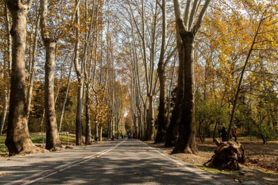 پاییز در مجموعه تاریخی سعد آباد تهران
