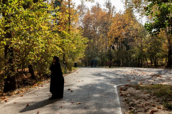 پاییز در مجموعه تاریخی سعد آباد تهران