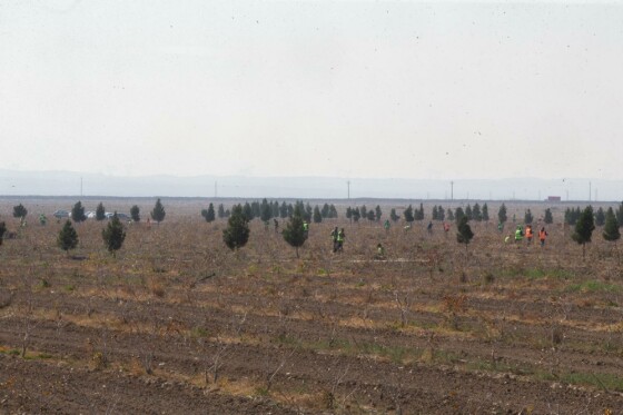 پروژه های بنیاد تعاون زندان فشافویه