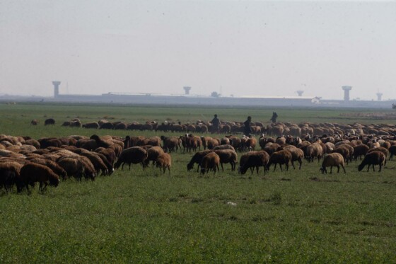 پروژه های بنیاد تعاون زندان فشافویه