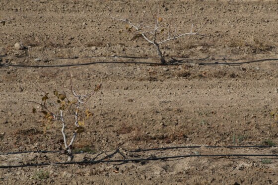 پروژه های بنیاد تعاون زندان فشافویه