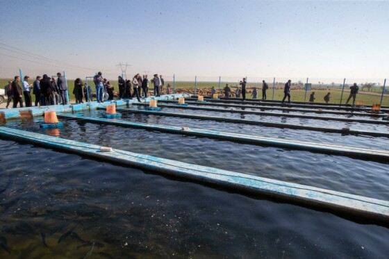 پروژه های بنیاد تعاون زندان فشافویه