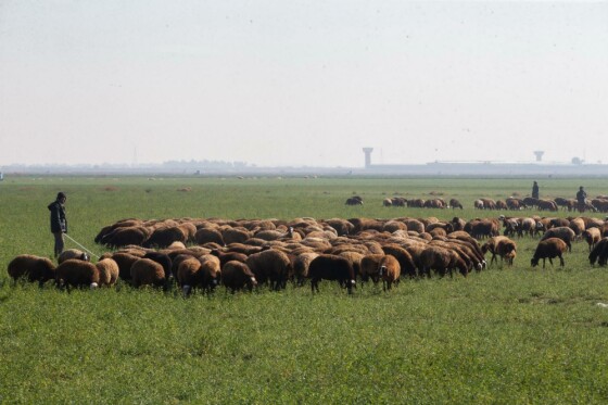 پروژه های بنیاد تعاون زندان فشافویه