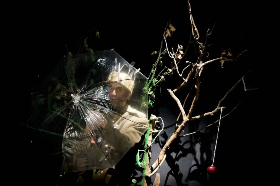 نمایش قلاده ای برای یک سگ مرده