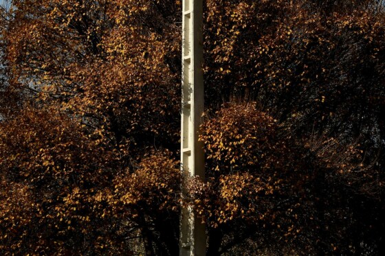 آخرین روز پاییز در تهران