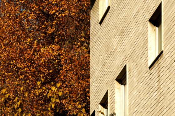 آخرین روز پاییز در تهران