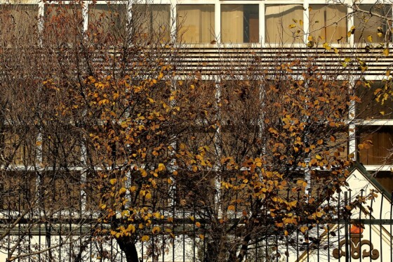 آخرین روز پاییز در تهران