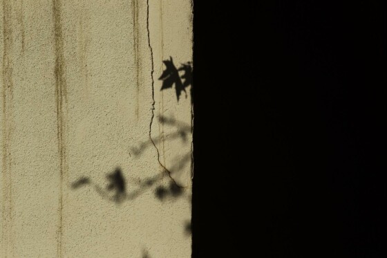 آخرین روز پاییز در تهران