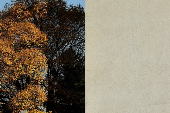 آخرین روز پاییز در تهران