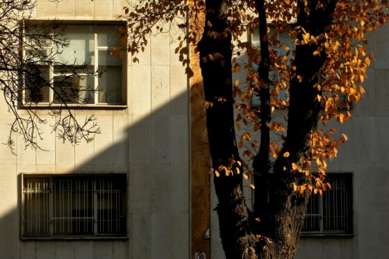 آخرین روز پاییز در تهران