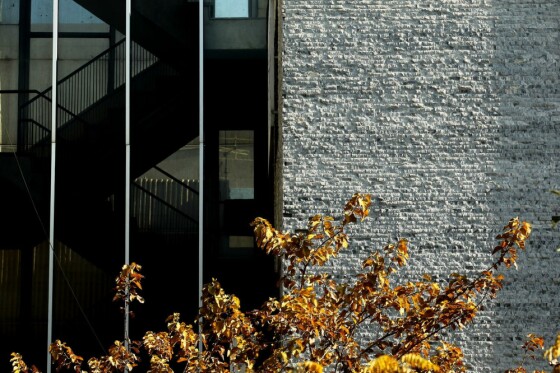 آخرین روز پاییز در تهران