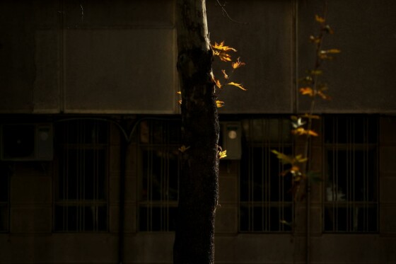 آخرین روز پاییز در تهران