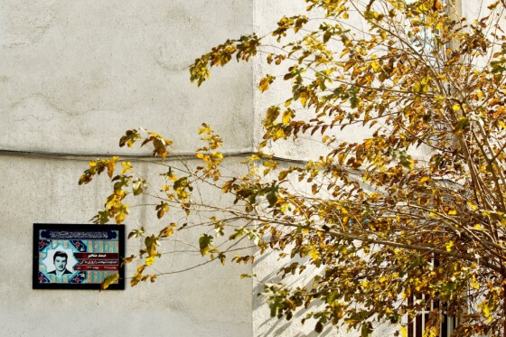 آخرین روز پاییز در تهران