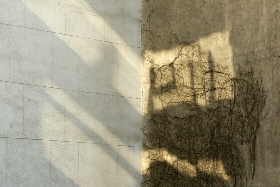 آخرین روز پاییز در تهران