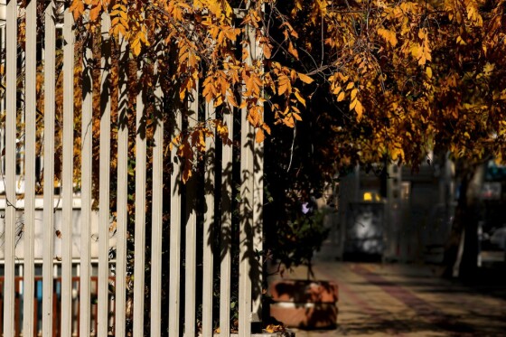 آخرین روز پاییز در تهران