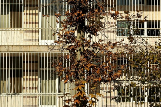 آخرین روز پاییز در تهران