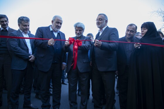 رونمایی از تاکسیهای برقی پایتخت