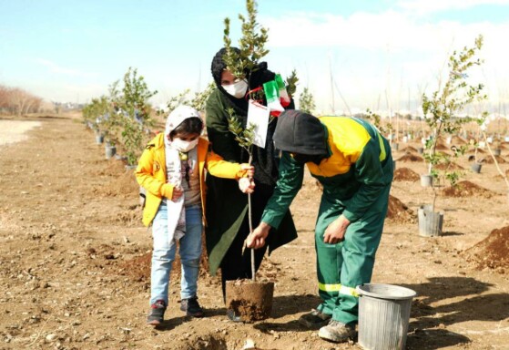 کاشت ۲۴۰۰۰ نهال به مناسبت کنگره ۲۴۰۰۰ شهید تهران