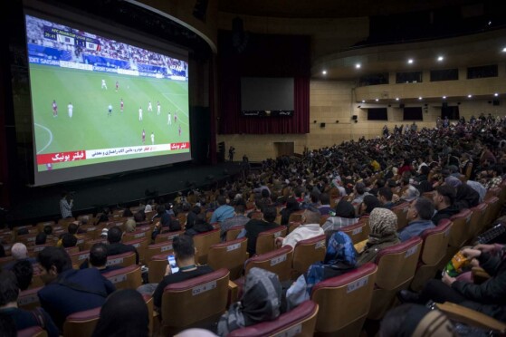 هفتمین روز چهل و دومین جشنواره فیلم فجر