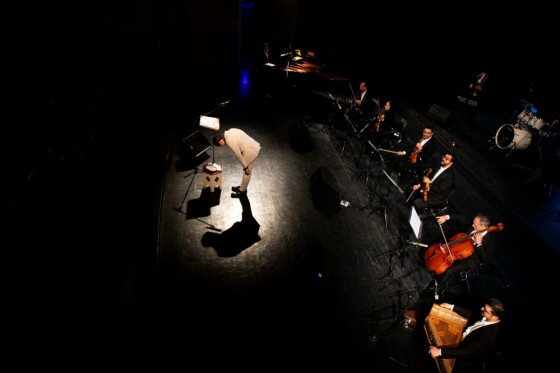 کنسرت سالار عقیلی در جشنواره موسیقی فجر