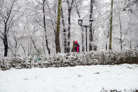 بارش برف در تهران