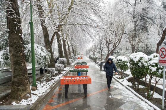 بارش برف در تهران