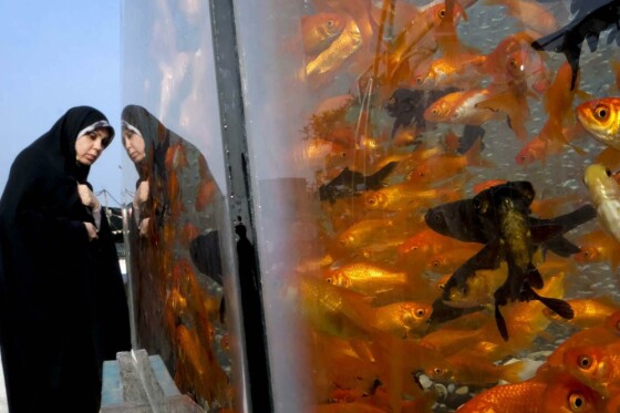 بازار گل تهران در آستانه نوروز