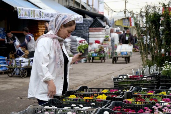 بازار گل تهران در آستانه نوروز