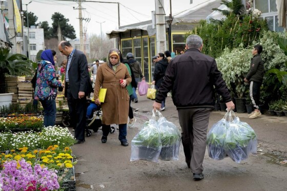 بازار گل تهران در آستانه نوروز