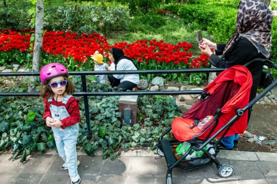 لاله ها در باغ ایرانی