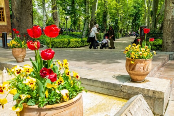 لاله ها در باغ ایرانی