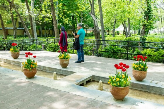 لاله ها در باغ ایرانی