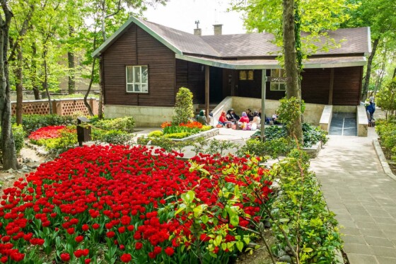 لاله ها در باغ ایرانی