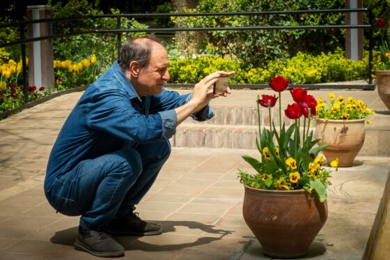 لاله ها در باغ ایرانی