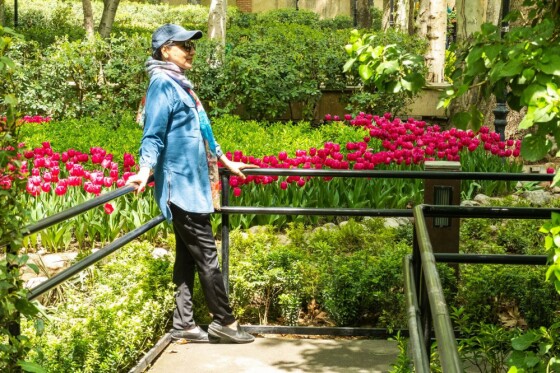 لاله ها در باغ ایرانی