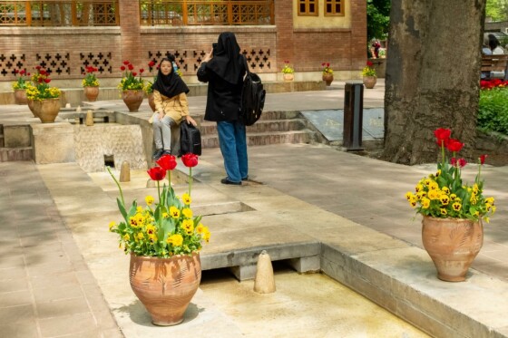 لاله ها در باغ ایرانی