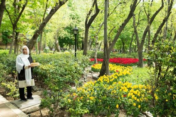 لاله ها در باغ ایرانی