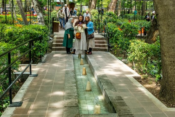 لاله ها در باغ ایرانی