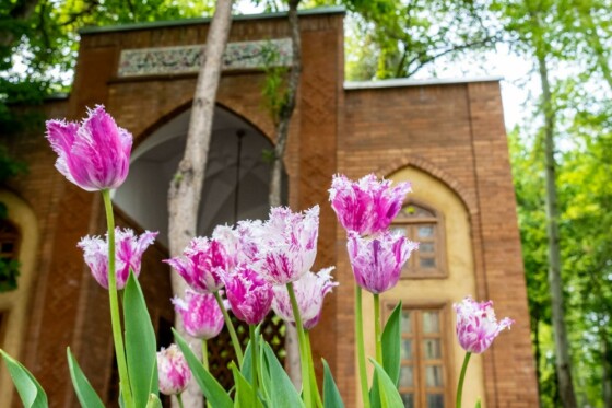 لاله ها در باغ ایرانی