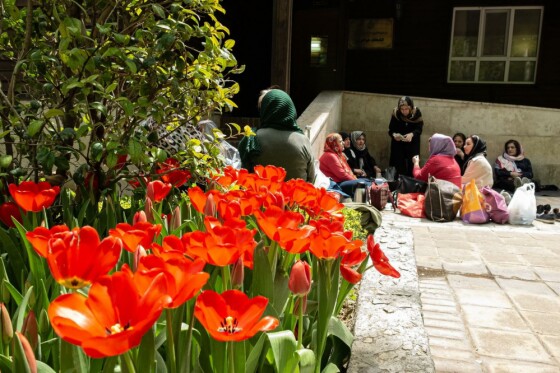 لاله ها در باغ ایرانی