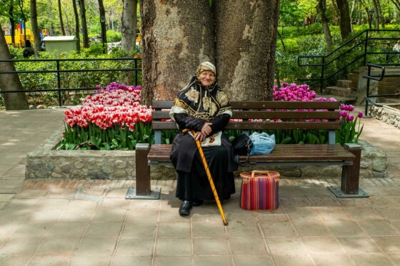 لاله ها در باغ ایرانی