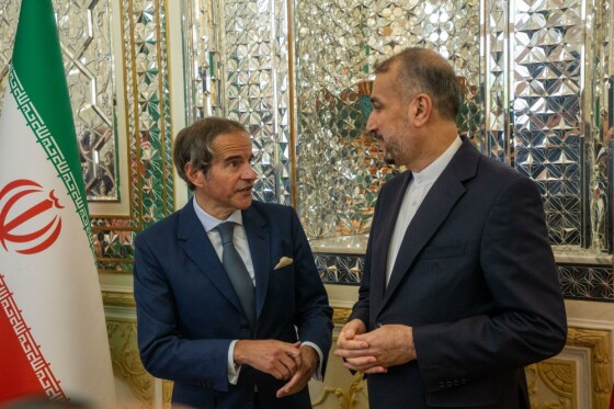 دیدار مدیر کل آژانس بینالمللی انرژی اتمی با وزیر خارجه