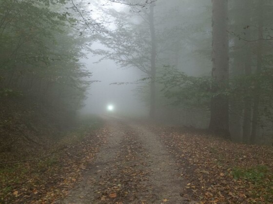 دوچرخه سواری در حاشیه مرداب ”دیوک” مازندران