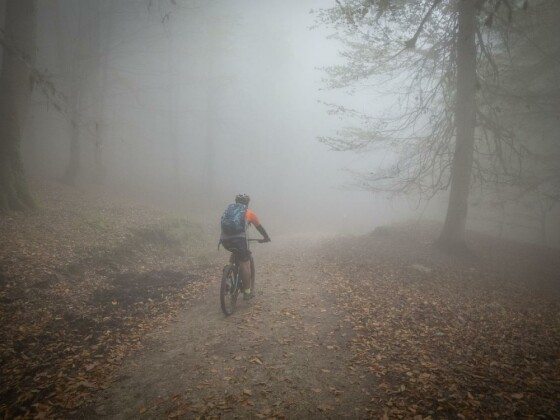 دوچرخه سواری در حاشیه مرداب ”دیوک” مازندران