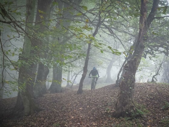 دوچرخه سواری در حاشیه مرداب ”دیوک” مازندران