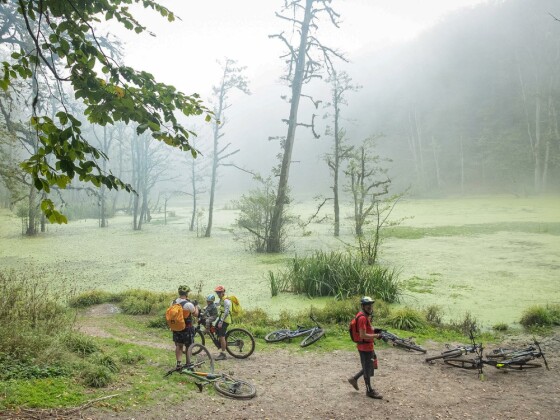 دوچرخه سواری در حاشیه مرداب ”دیوک” مازندران