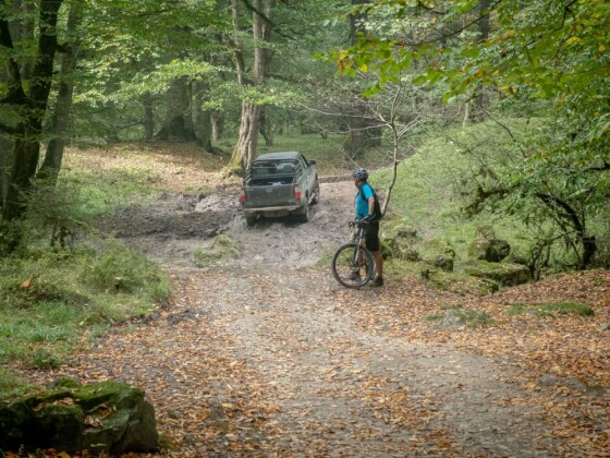 دوچرخه سواری در حاشیه مرداب ”دیوک” مازندران