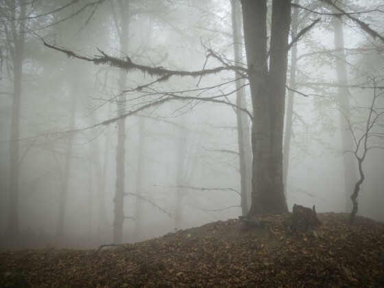 دوچرخه سواری در حاشیه مرداب ”دیوک” مازندران