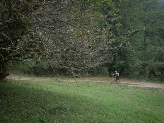 دوچرخه سواری در حاشیه مرداب ”دیوک” مازندران