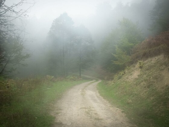 دوچرخه سواری در حاشیه مرداب ”دیوک” مازندران